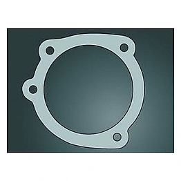 Inlet gasket late