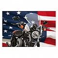 NATIONAL CYCLE STINGER WINDSHIELD
