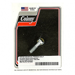 COLONY CAM COVER OIL PASSAGE BOLT,bkr.mcsh.990130