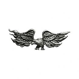 EAGLE IN FLAME PIN,bkr.mcsh.535165