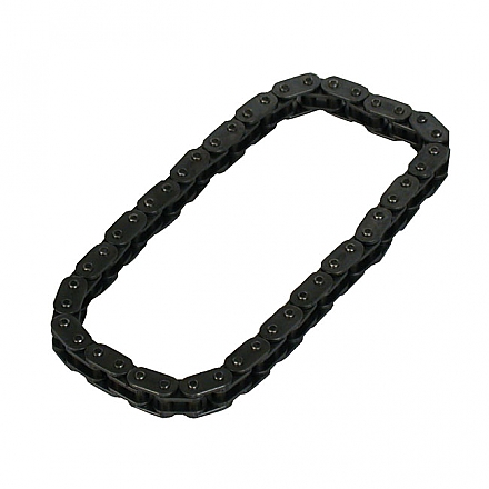 Outer cam (primary) chain,bkr.mcsh.921606