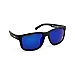 Roeg Billy V2.0 Sunglasses, black / REVO lenses,bkr.mcsh.586293