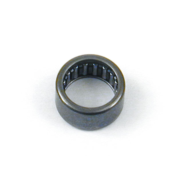 Shifter cam bearing