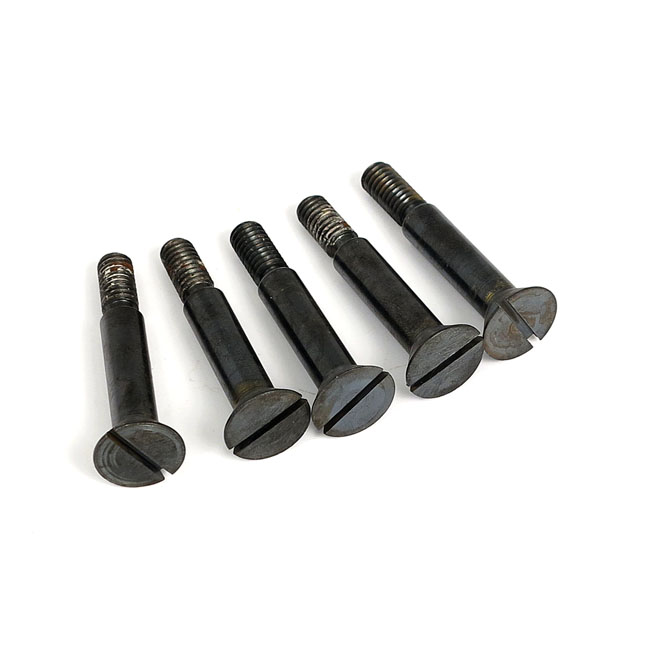 Pivot screw