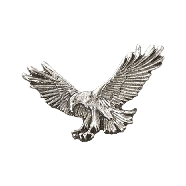Biker pins Fishing eagle pin