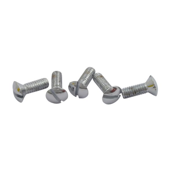 Screw