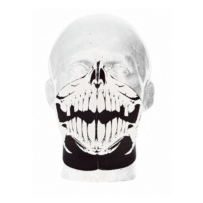 Bandero biker face mask Raptor