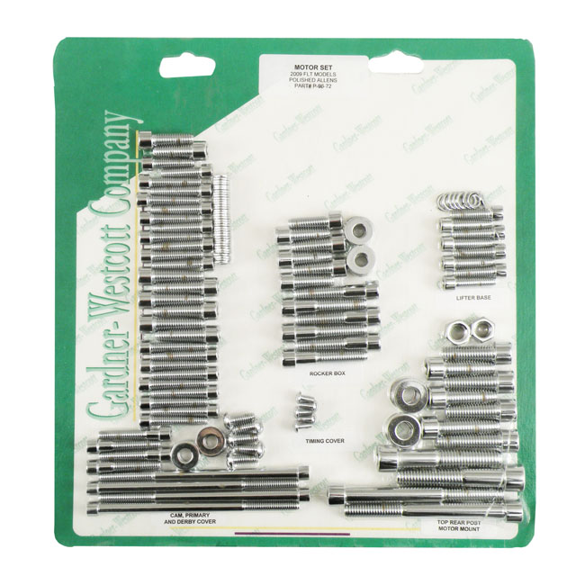 Motor screw set. Polished chrome allen