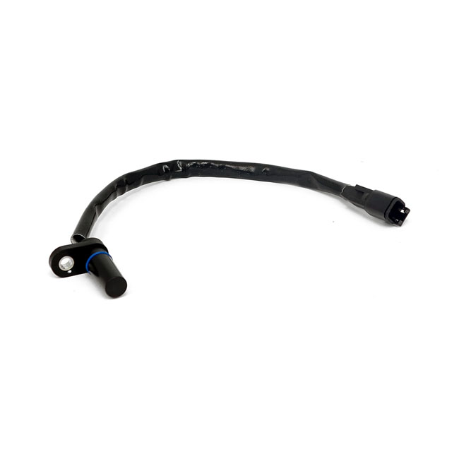 Sensor
