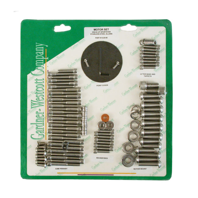 Motor screw set