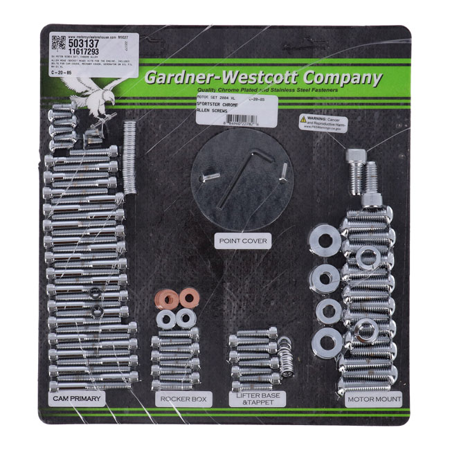 Motor screw set