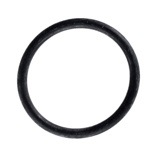 O-ring