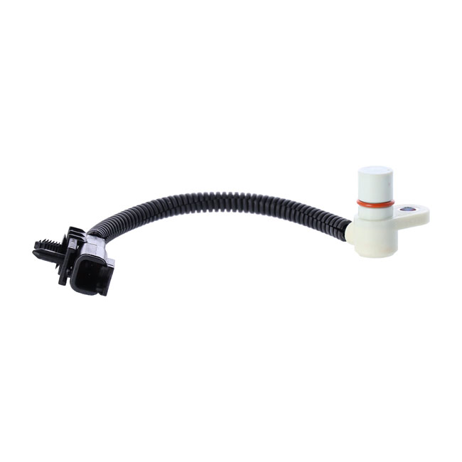 Sensor