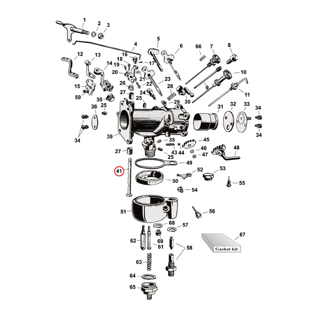 Throttle shaft