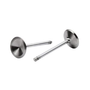 Manley Manley, Severe Duty stainless valve, intake. STD