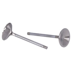 Manley Manley, Race Master stainless valves, intake. STD