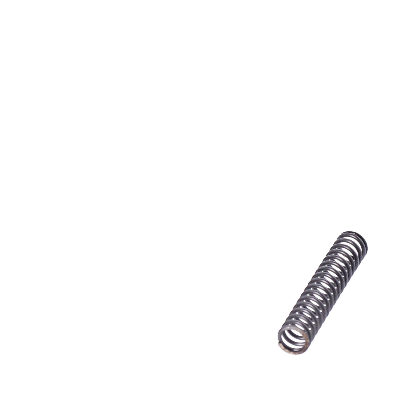 MCS Spring, shifter pawl carrier