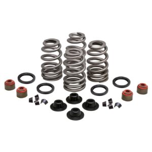 Kibblewhite Kpmi, beehive valve spring kit .630 lift