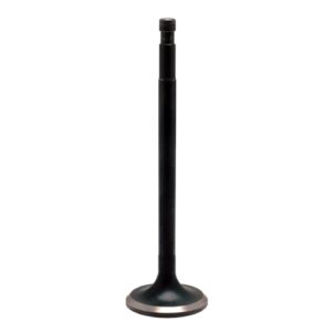 Kibblewhite KPMI, Black Diamond intake/exhaust valve. STD