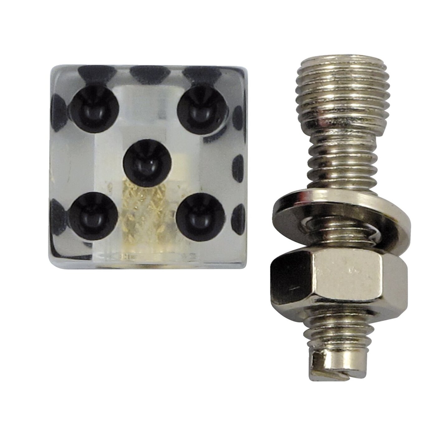 TrikTopz Trik Topz license plate mounts Dice clear