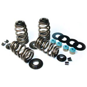 Feuling Feuling, Econo Beehive valve spring kit. .585" lift