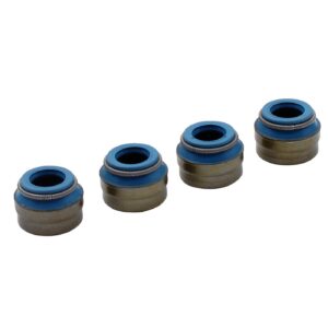 Feuling Feuling, Viton valve seal kit