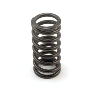 MCS Clutch spring