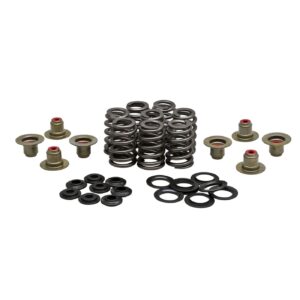 Kibblewhite KPMI, .550" high lift valve spring kit. Steel