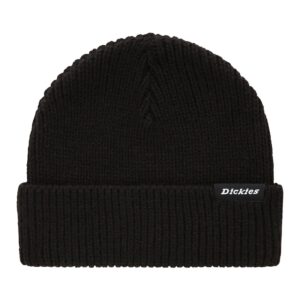 Dickies Dickies Woodworth beanie black