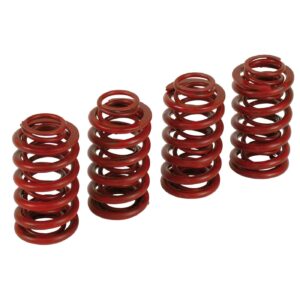 Andrews Andrews, high performance spring set .560" lift