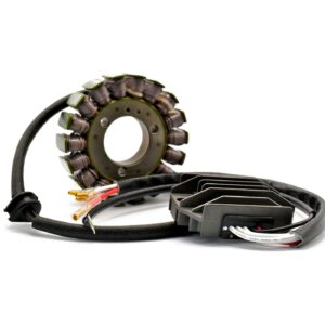 Rick's Motorsport Electronics Rick's Hot Shot Lithium Ion compatible charging kit