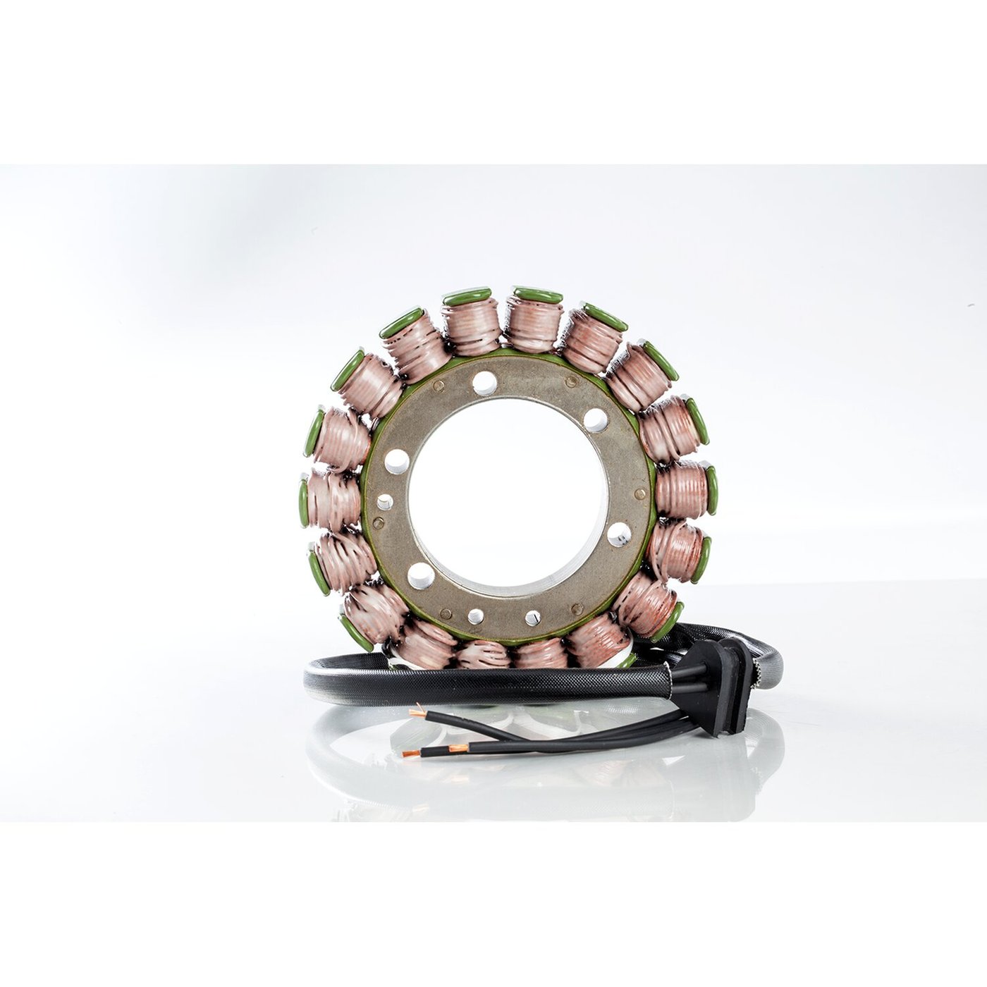 Rick's Motorsport Electronics Rick's stator, OEM style Aprilia