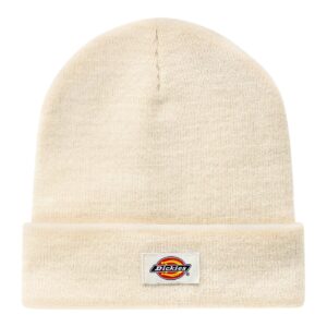 Dickies Dickies Gibsland beanie ecru