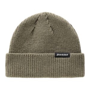 Dickies Dickies Woodworth beanie military green
