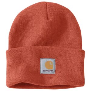 Carhartt Carhartt Watch hat beanie desert orange