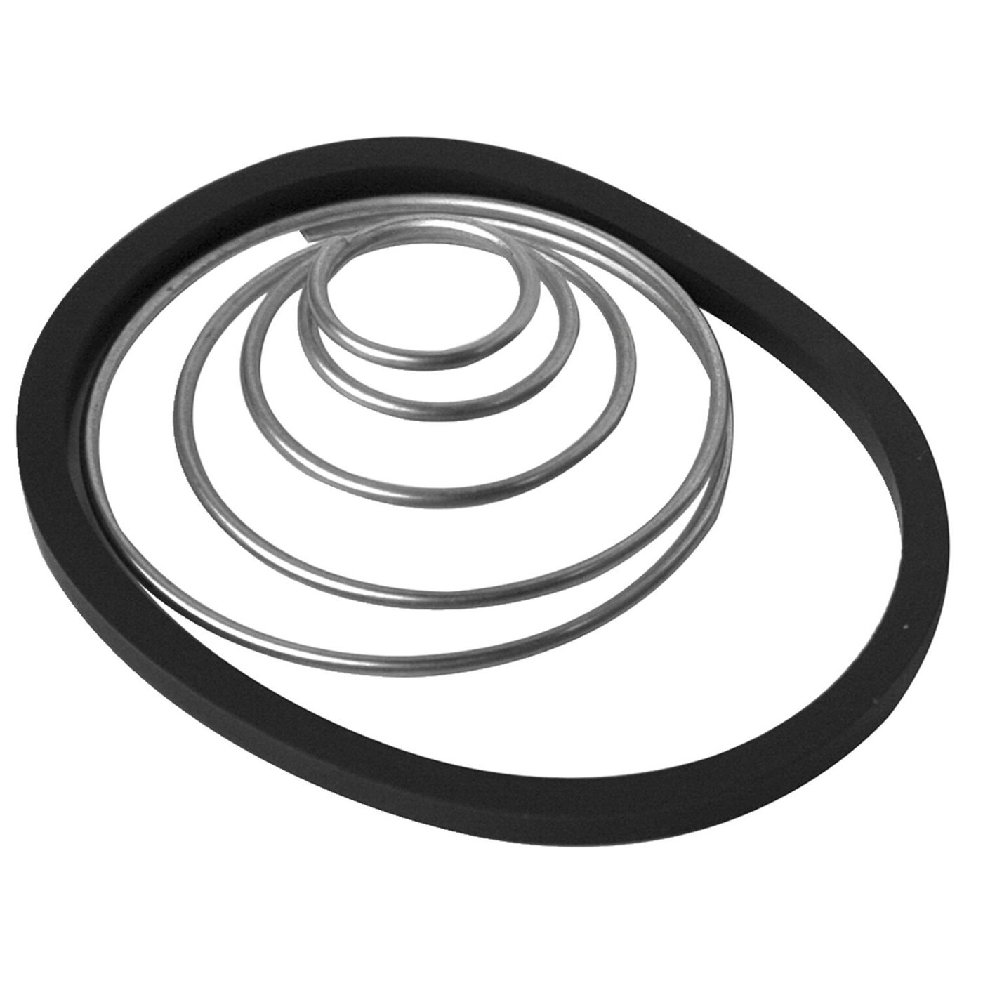 Arlen Ness Arlen Ness, replacement spring & O-ring kit