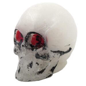 Cycle Visions Cycle Visions Multitude knob Skull head