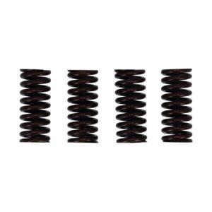 MCS Valve spring set