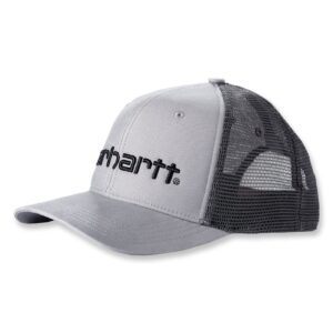 Carhartt Carhartt Dunmore cap asphalt black