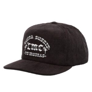 Loser Machine Company Loser Machine Fences cap black
