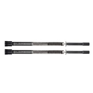 Legend Air Suspension Legend, 49mm Axeo fork cartridge set