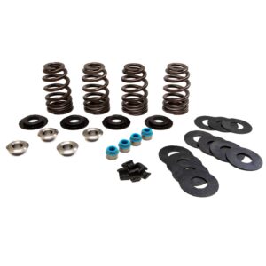 Feuling Feuling, Econo beehive valve spring kit . 585" lift