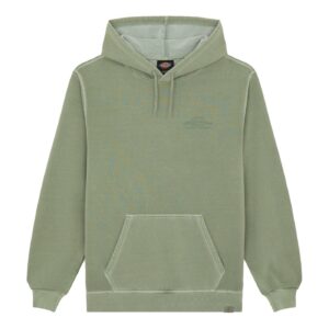 Dickies Dickies Christiana Gd hoodie sea spray