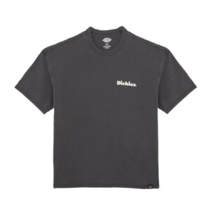 Dickies Dickies Slayden GD t-shirt black