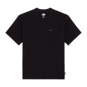 Dickies Dickies Clancy Heavyweight t-shirt black