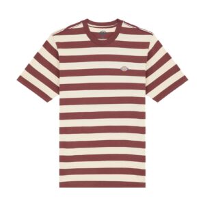 Dickies Dickies Rivergrove t-shirt andorra