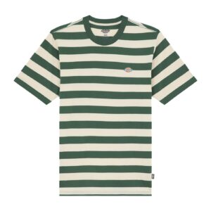 Dickies Dickies Rivergrove t-shirt pine needle green