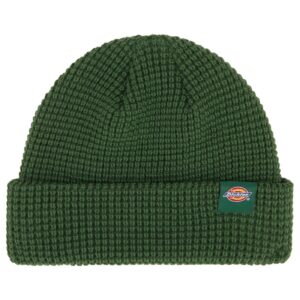 Dickies Dickies Woodworth beanie pine needle green