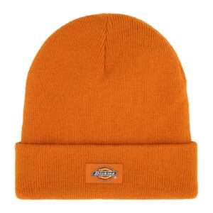 Dickies Dickies Gibsland beanie autumn maple