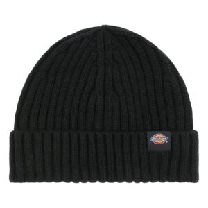 Dickies Dickies Lockwood beanie black